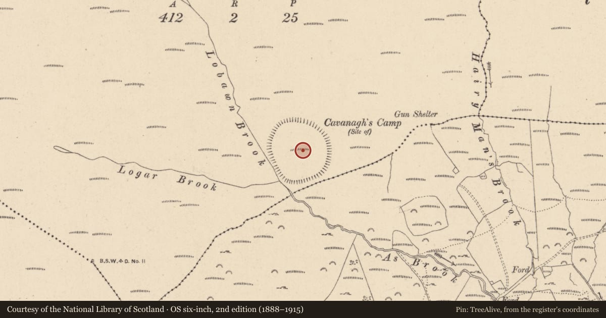 Ordnance Survey six-inch map, 2nd edition (1888–1915) covering the location of Enclosure, Lobawn, County Wicklow, with a pin at the register's coordinates