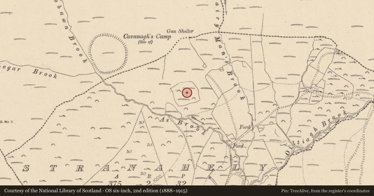 Ordnance Survey six-inch map, 2nd edition (1888–1915) covering the location of Enclosure, Stranahely, County Wicklow, with a pin at the register's coordinates