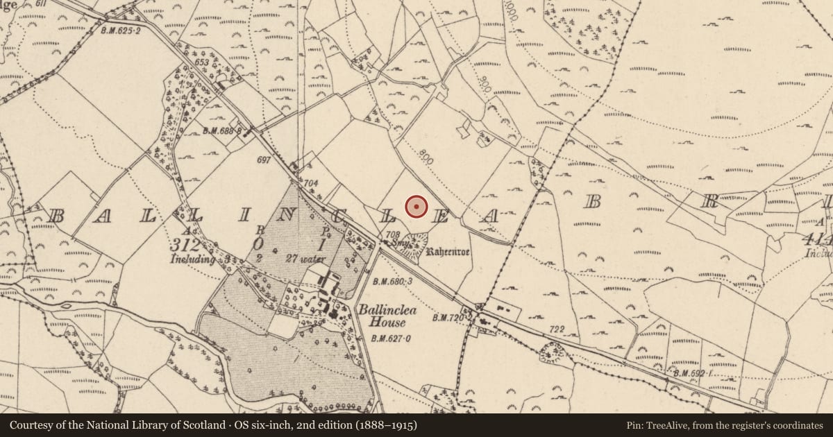 Ordnance Survey six-inch map, 2nd edition (1888–1915) covering the location of Enclosure, Ballinclea, County Wicklow, with a pin at the register's coordinates