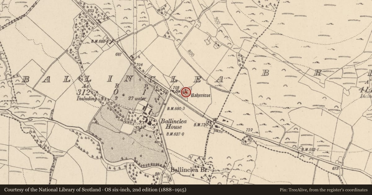 Ordnance Survey six-inch map, 2nd edition (1888–1915) covering the location of Ringfort - rath, Ballinclea, County Wicklow, with a pin at the register's coordinates
