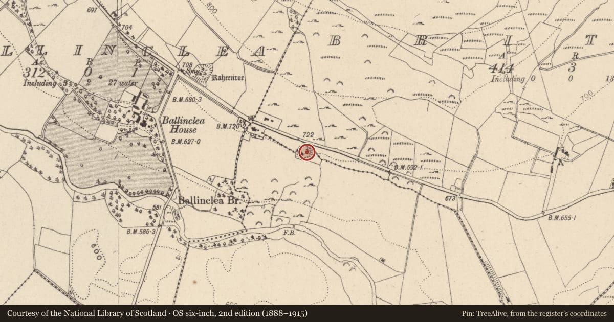 Ordnance Survey six-inch map, 2nd edition (1888–1915) covering the location of Ringfort - rath, Seskin, County Wicklow, with a pin at the register's coordinates