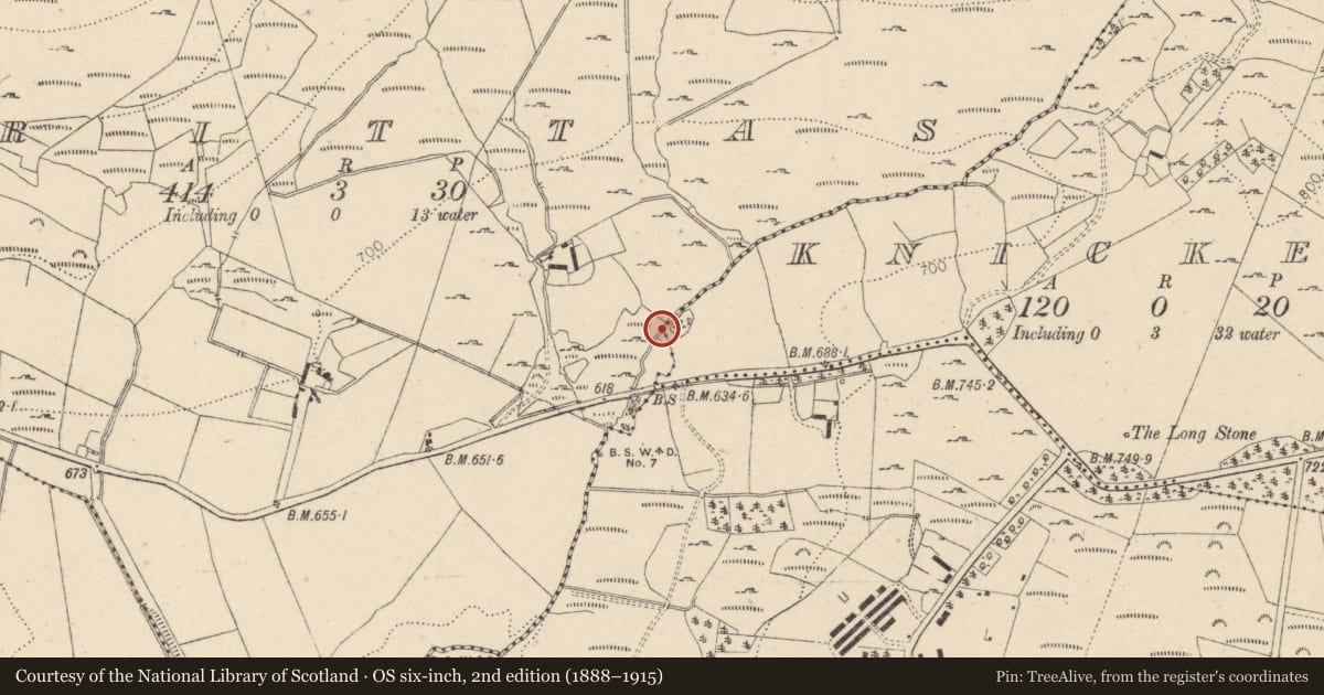 Ordnance Survey six-inch map, 2nd edition (1888–1915) covering the location of Bullaun stone, Brittas, County Wicklow, with a pin at the register's coordinates