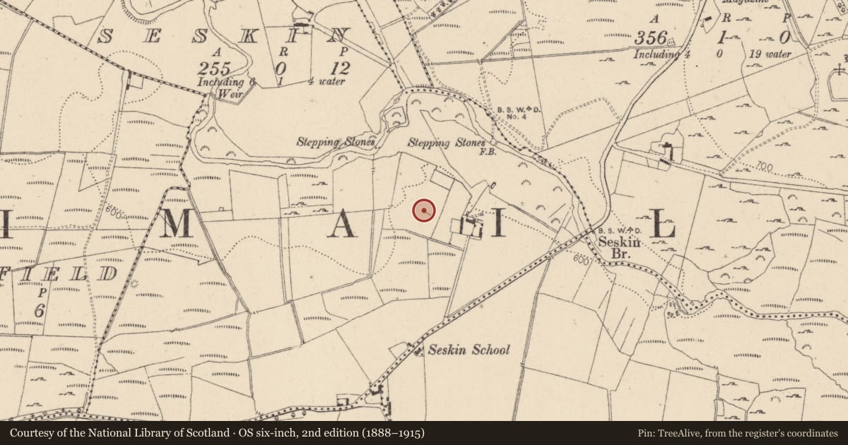 Ordnance Survey six-inch map, 2nd edition (1888–1915) covering the location of House - fortified house, Seskin, County Wicklow, with a pin at the register's coordinates