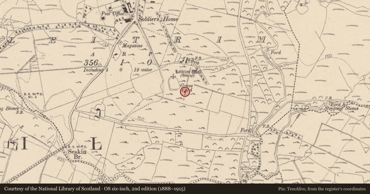Ordnance Survey six-inch map, 2nd edition (1888–1915) covering the location of Bullaun stone, Leitrim, County Wicklow, with a pin at the register's coordinates