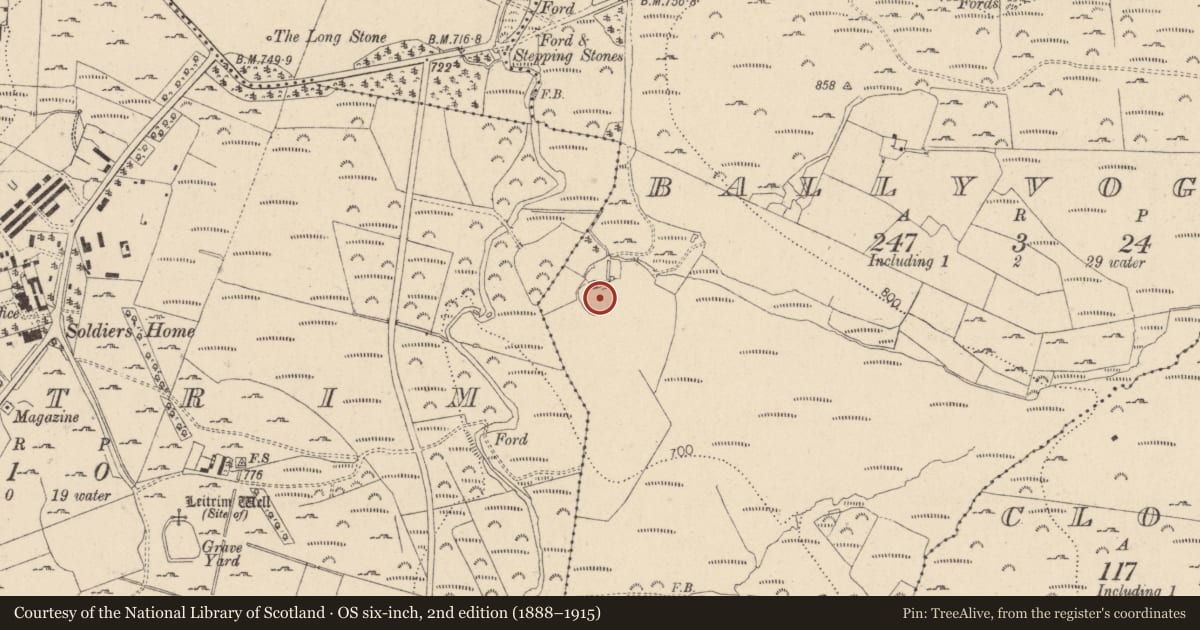 Ordnance Survey six-inch map, 2nd edition (1888–1915) covering the location of Ringfort - rath, Ballyvoghan, County Wicklow, with a pin at the register's coordinates