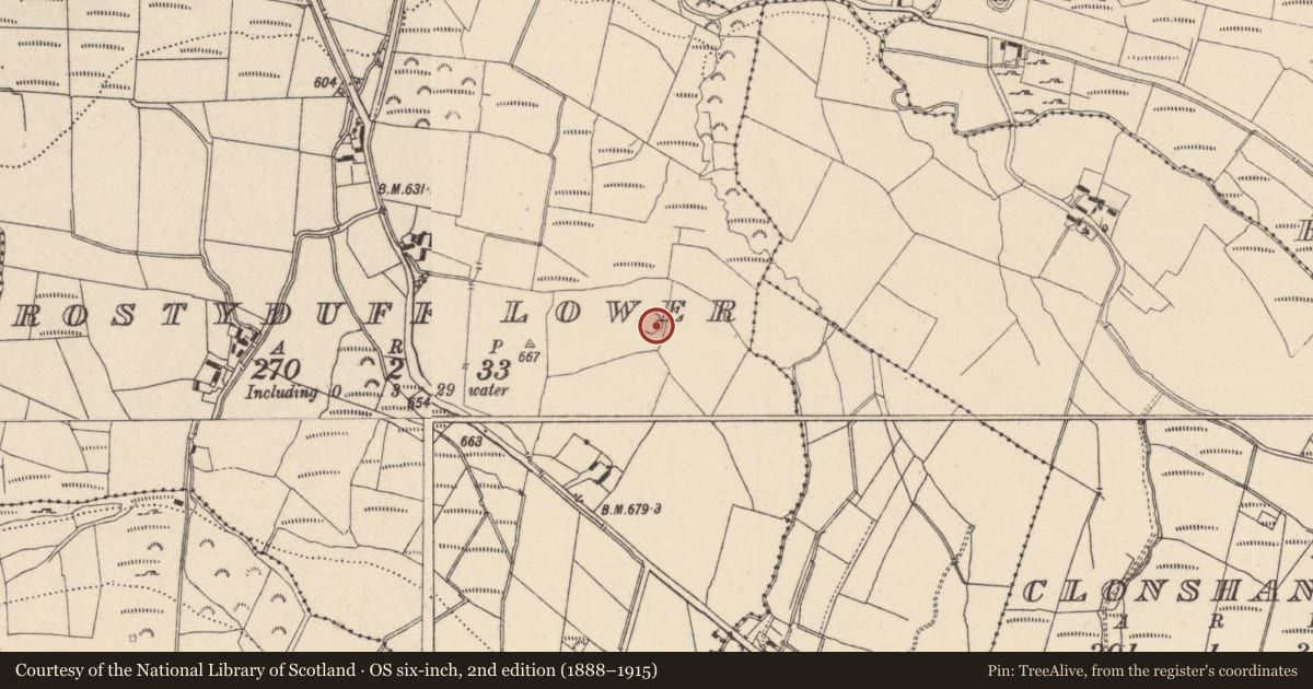 Ordnance Survey six-inch map, 2nd edition (1888–1915) covering the location of Ringfort - rath, Rostyduff Lower, County Wicklow, with a pin at the register's coordinates
