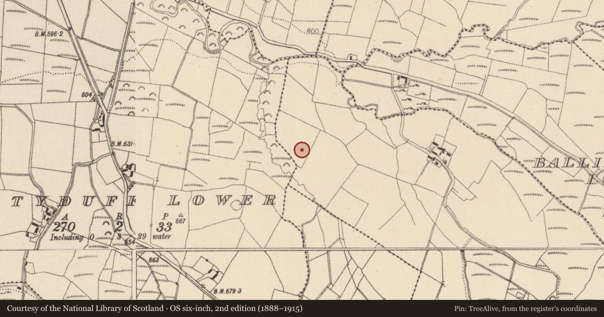 Ordnance Survey six-inch map, 2nd edition (1888–1915) covering the location of Flat cemetery, Clonshannon, County Wicklow, with a pin at the register's coordinates