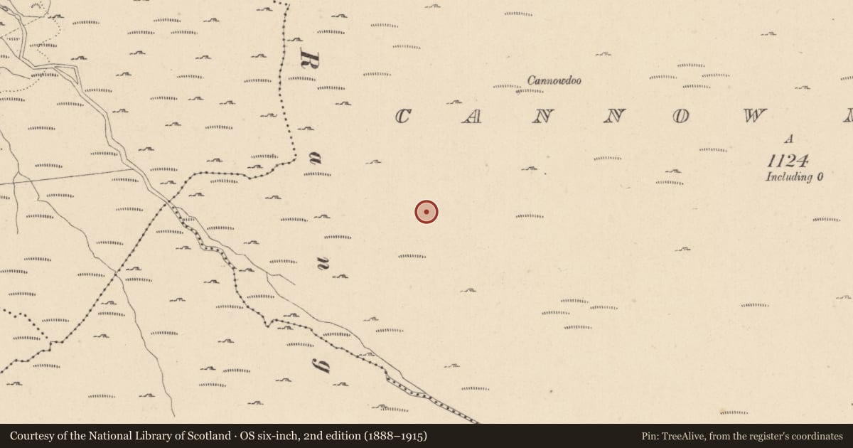 Ordnance Survey six-inch map, 2nd edition (1888–1915) covering the location of Enclosure, Cannow Mountain, County Wicklow, with a pin at the register's coordinates
