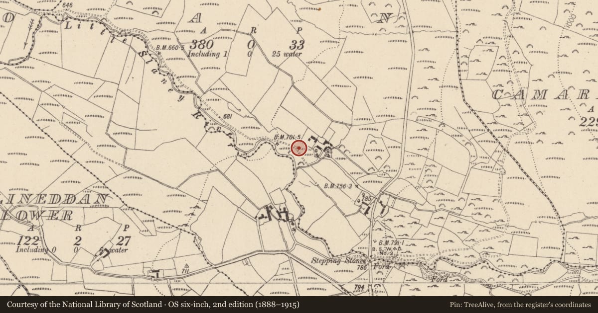 Ordnance Survey six-inch map, 2nd edition (1888–1915) covering the location of Standing stone, Coan, County Wicklow, with a pin at the register's coordinates