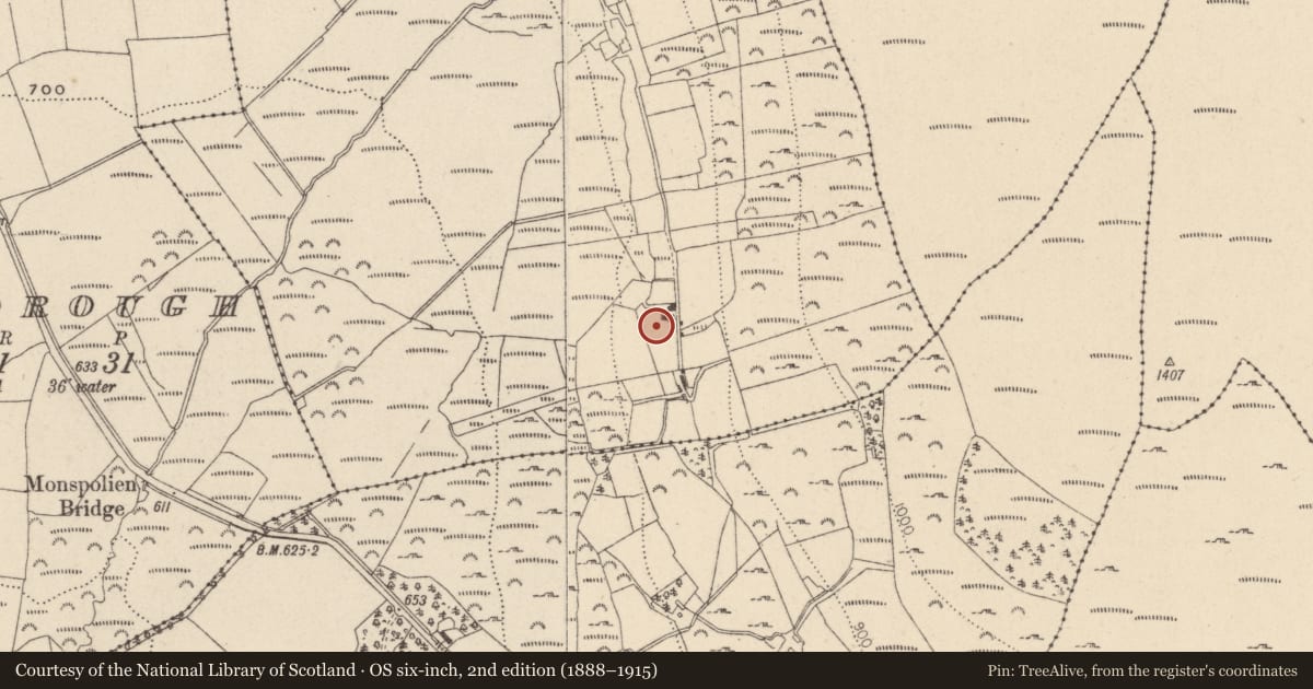 Ordnance Survey six-inch map, 2nd edition (1888–1915) covering the location of Standing stone, Ballinard, County Wicklow, with a pin at the register's coordinates