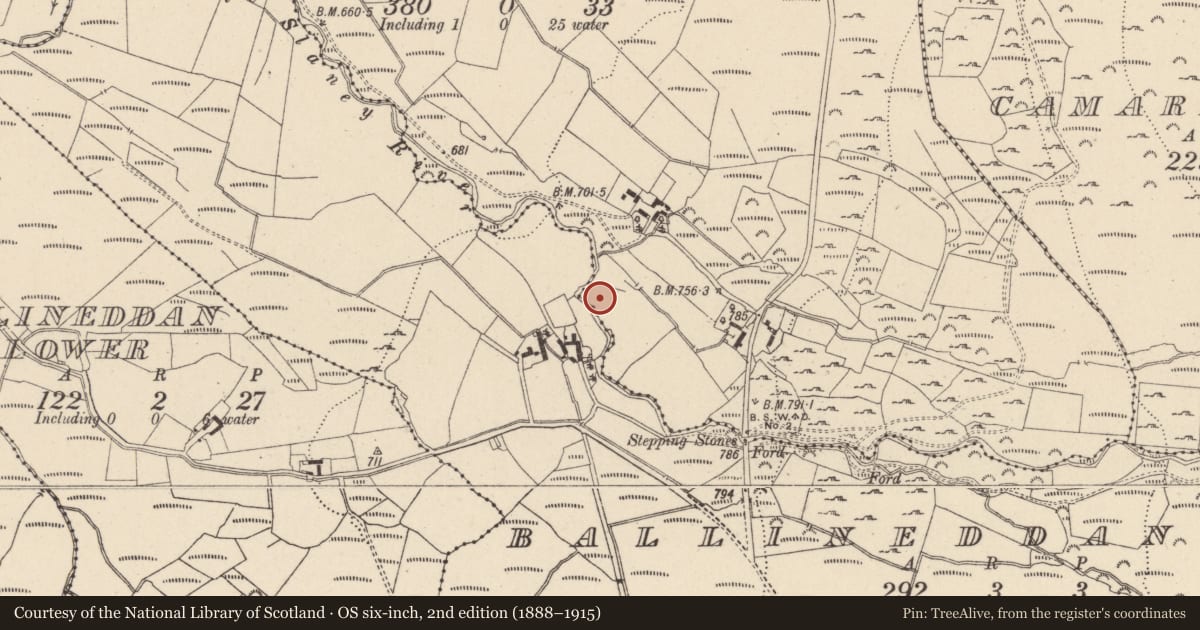 Ordnance Survey six-inch map, 2nd edition (1888–1915) covering the location of Standing stone, Coan, County Wicklow, with a pin at the register's coordinates