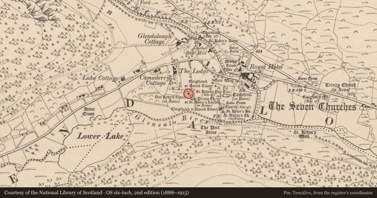 Ordnance Survey six-inch map, 2nd edition (1888–1915) covering the location of Cross-slab, Sevenchurches Or Camaderry, County Wicklow, with a pin at the register's coordinates