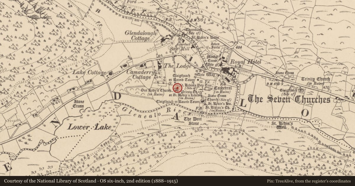 Ordnance Survey six-inch map, 2nd edition (1888–1915) covering the location of Bullaun stone, Sevenchurches Or Camaderry, County Wicklow, with a pin at the register's coordinates