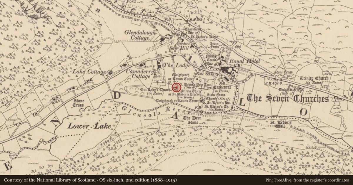 Ordnance Survey six-inch map, 2nd edition (1888–1915) covering the location of Cross-slab, Sevenchurches Or Camaderry, County Wicklow, with a pin at the register's coordinates
