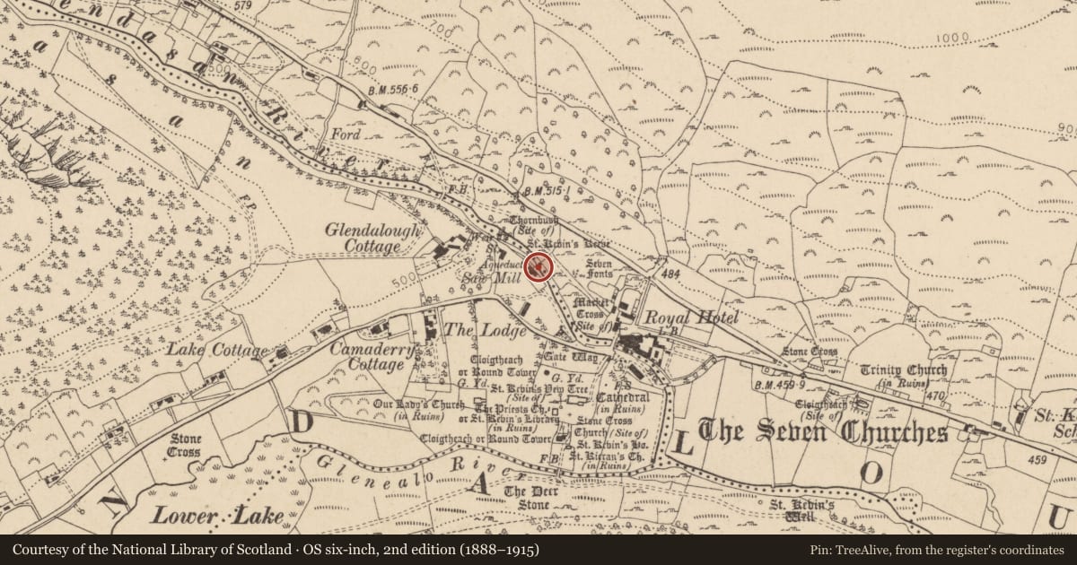 Ordnance Survey six-inch map, 2nd edition (1888–1915) covering the location of Bullaun stone, Sevenchurches Or Camaderry, County Wicklow, with a pin at the register's coordinates