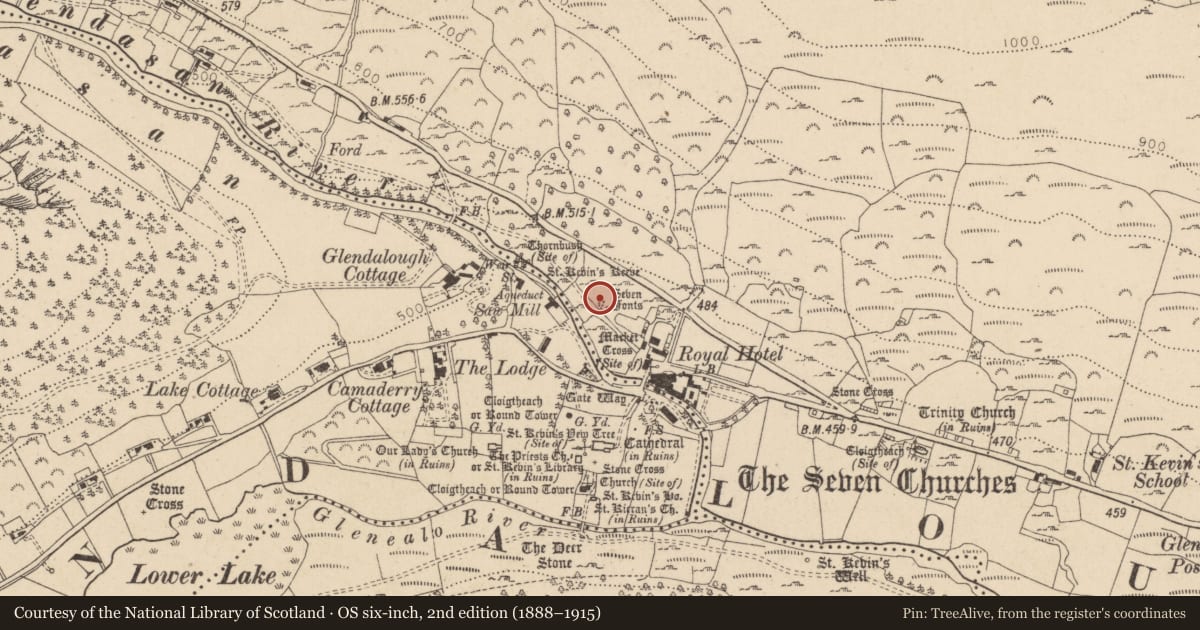 Ordnance Survey six-inch map, 2nd edition (1888–1915) covering the location of Bullaun stone, Brockagh, County Wicklow, with a pin at the register's coordinates