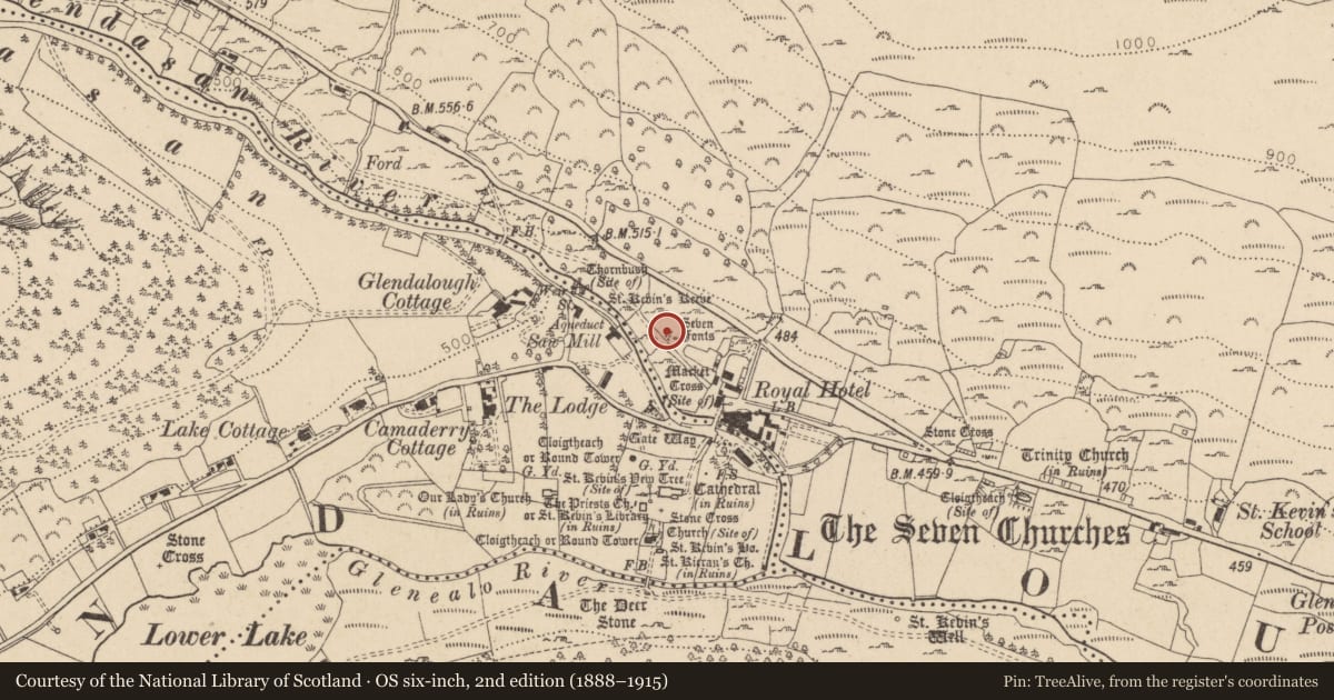 Ordnance Survey six-inch map, 2nd edition (1888–1915) covering the location of Bullaun stone, Brockagh, County Wicklow, with a pin at the register's coordinates