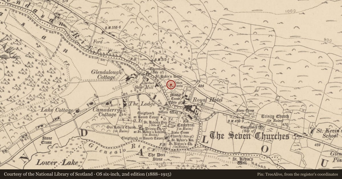 Ordnance Survey six-inch map, 2nd edition (1888–1915) covering the location of Bullaun stone, Brockagh, County Wicklow, with a pin at the register's coordinates