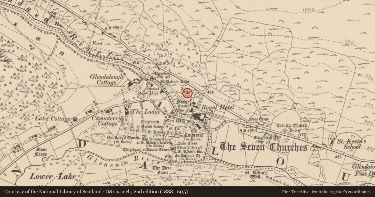 Ordnance Survey six-inch map, 2nd edition (1888–1915) covering the location of Bullaun stone, Brockagh, County Wicklow, with a pin at the register's coordinates