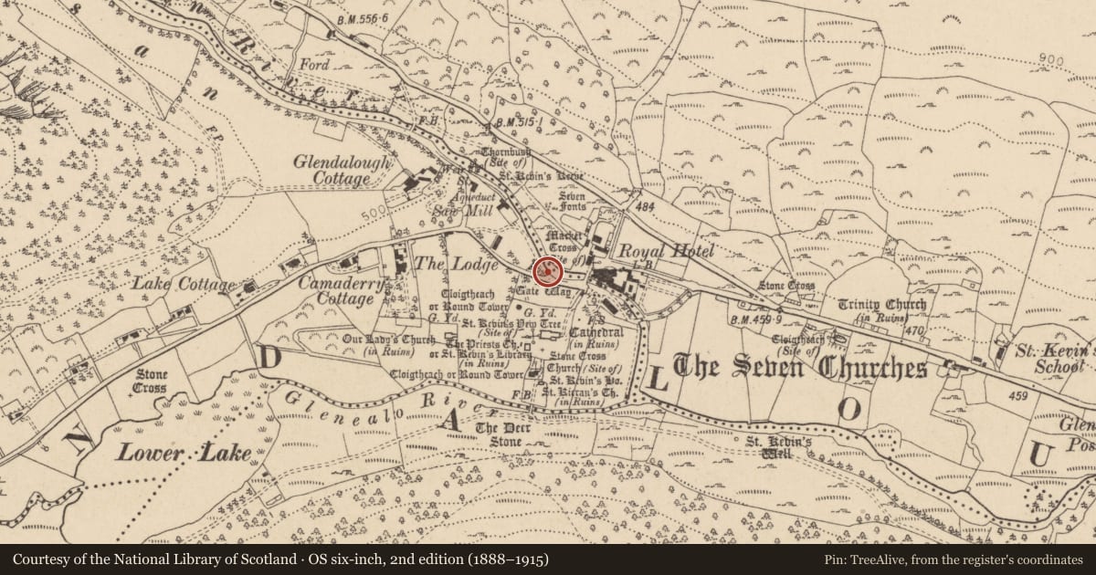Ordnance Survey six-inch map, 2nd edition (1888–1915) covering the location of Bullaun stone, Sevenchurches Or Camaderry, County Wicklow, with a pin at the register's coordinates