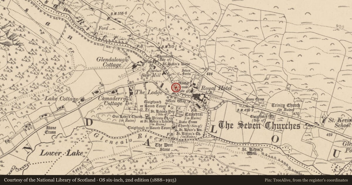 Ordnance Survey six-inch map, 2nd edition (1888–1915) covering the location of Bullaun stone, Sevenchurches Or Camaderry, County Wicklow, with a pin at the register's coordinates