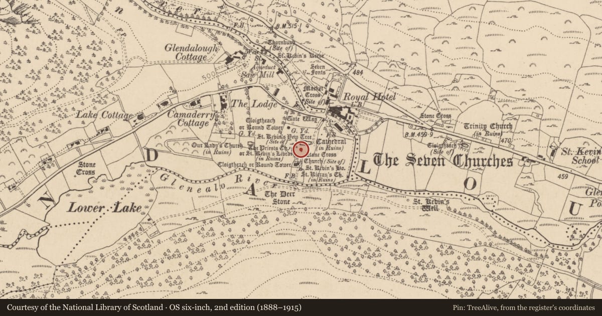 Ordnance Survey six-inch map, 2nd edition (1888–1915) covering the location of Cross - High cross, Sevenchurches Or Camaderry, County Wicklow, with a pin at the register's coordinates