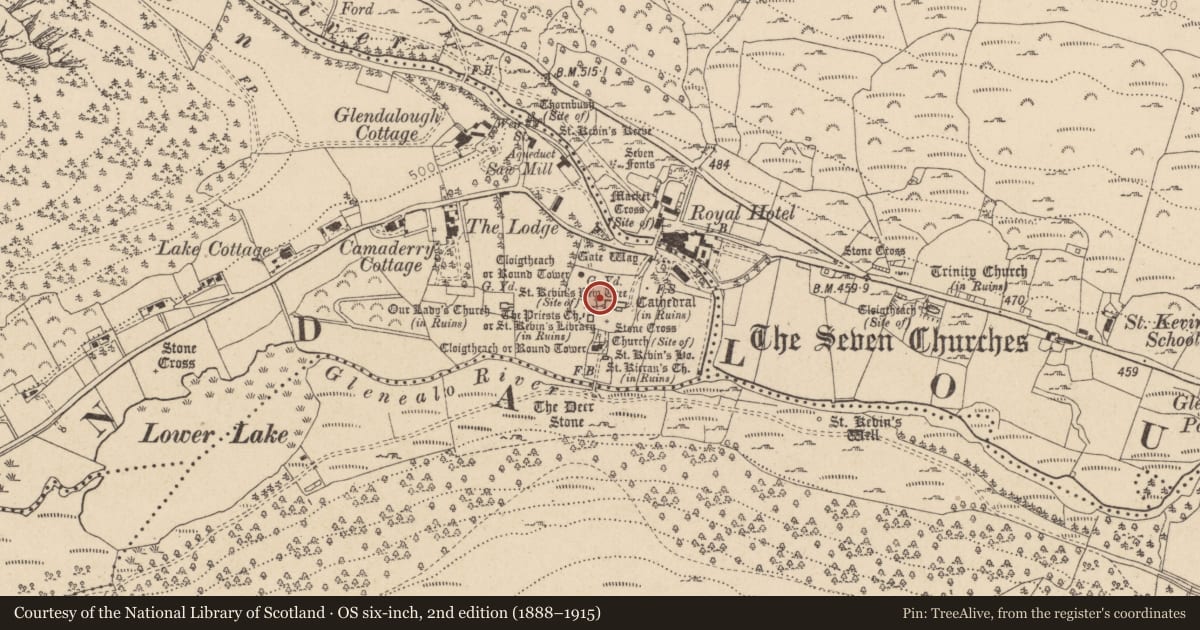 Ordnance Survey six-inch map, 2nd edition (1888–1915) covering the location of Graveyard, Sevenchurches Or Camaderry, County Wicklow, with a pin at the register's coordinates