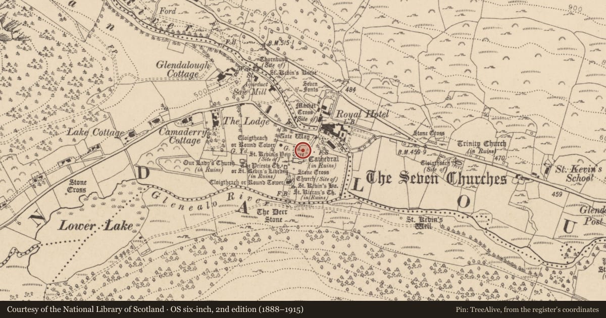 Ordnance Survey six-inch map, 2nd edition (1888–1915) covering the location of Graveslab, Sevenchurches Or Camaderry, County Wicklow, with a pin at the register's coordinates