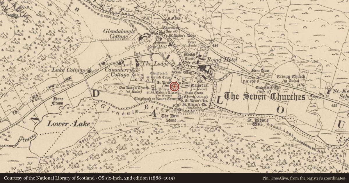 Ordnance Survey six-inch map, 2nd edition (1888–1915) covering the location of Cross, Sevenchurches Or Camaderry, County Wicklow, with a pin at the register's coordinates