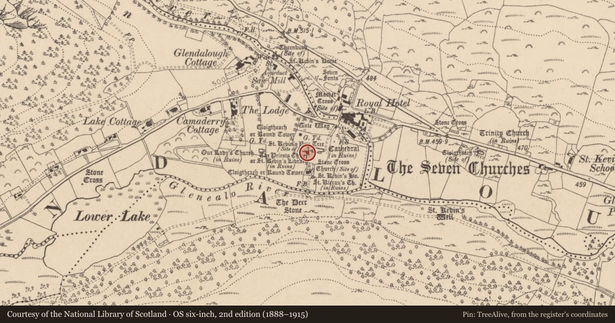Ordnance Survey six-inch map, 2nd edition (1888–1915) covering the location of Cross-slab, Sevenchurches Or Camaderry, County Wicklow, with a pin at the register's coordinates