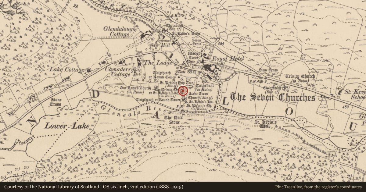 Ordnance Survey six-inch map, 2nd edition (1888–1915) covering the location of Cross-slab, Sevenchurches Or Camaderry, County Wicklow, with a pin at the register's coordinates