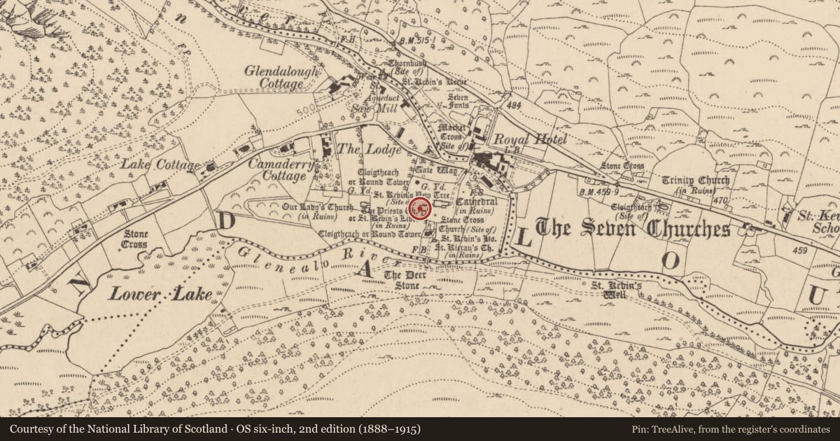 Ordnance Survey six-inch map, 2nd edition (1888–1915) covering the location of Cross - High cross, Sevenchurches Or Camaderry, County Wicklow, with a pin at the register's coordinates