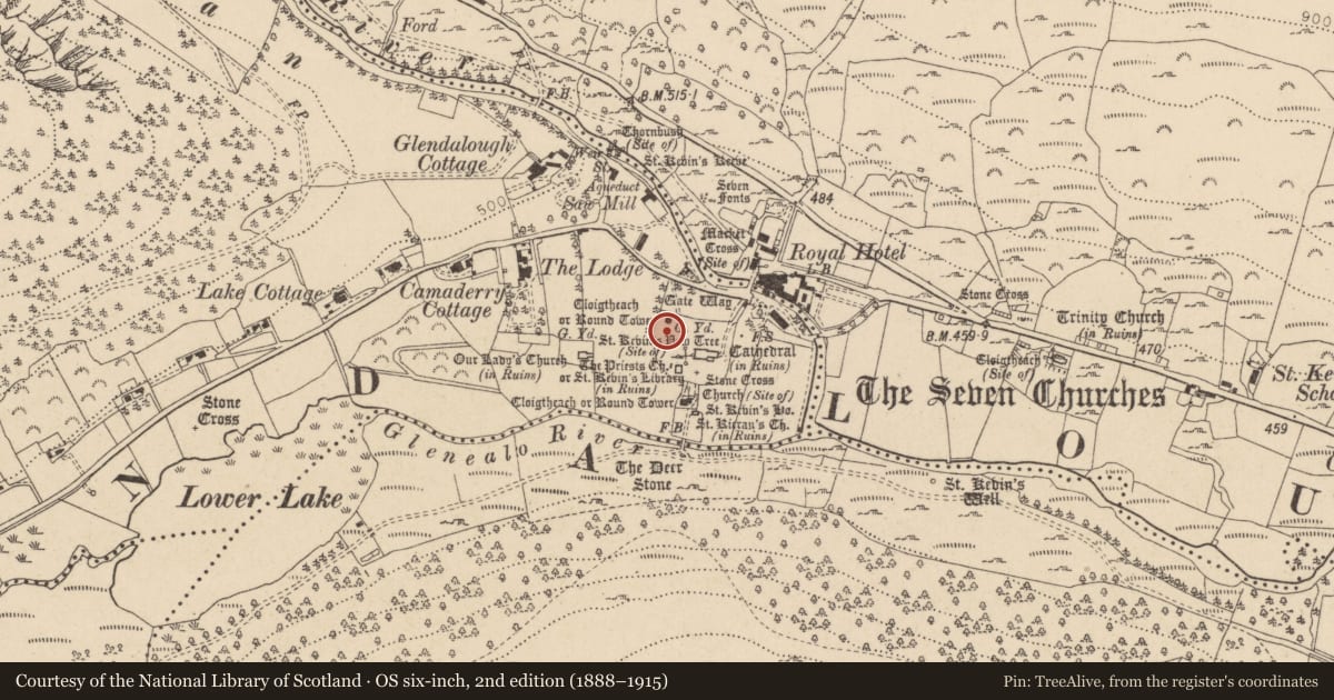 Ordnance Survey six-inch map, 2nd edition (1888–1915) covering the location of Cross-slab, Sevenchurches Or Camaderry, County Wicklow, with a pin at the register's coordinates