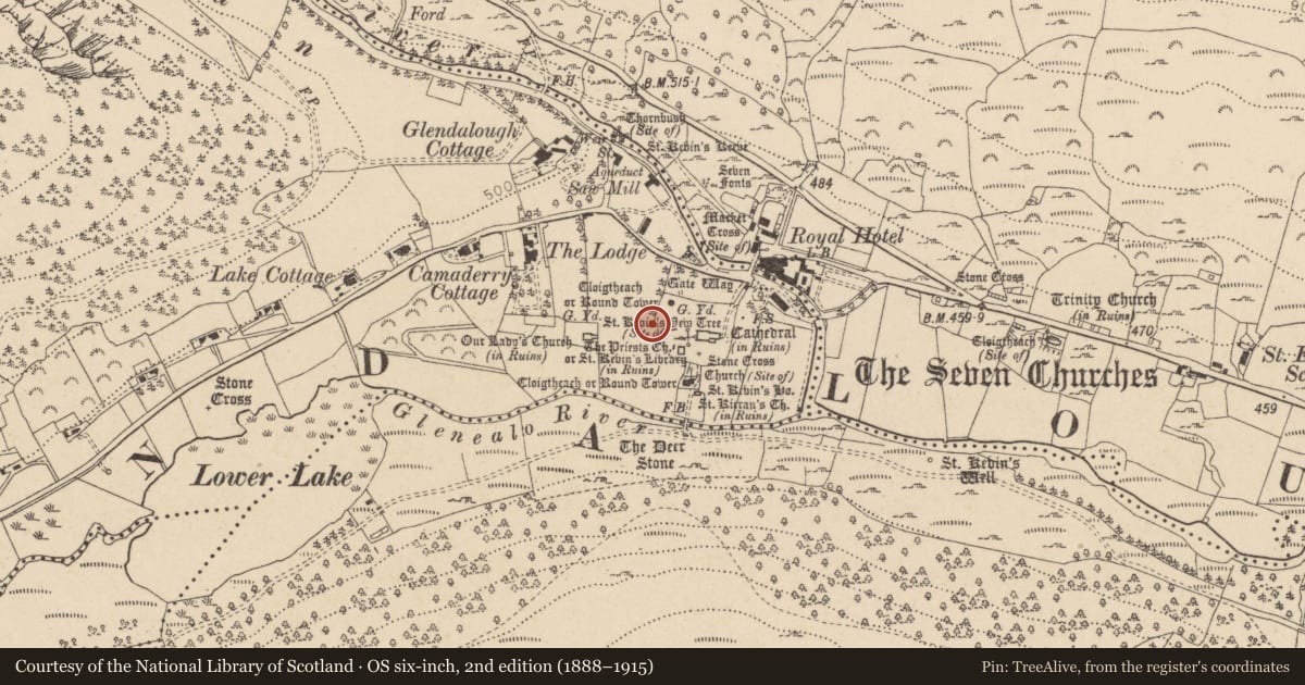 Ordnance Survey six-inch map, 2nd edition (1888–1915) covering the location of Graveslab, Sevenchurches Or Camaderry, County Wicklow, with a pin at the register's coordinates
