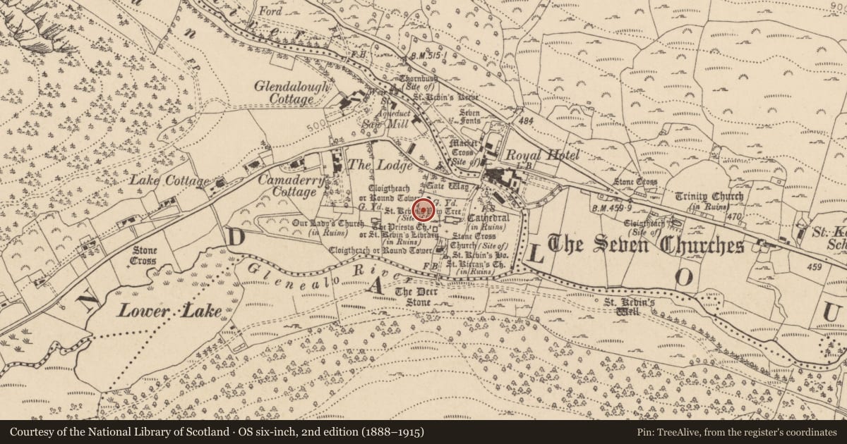 Ordnance Survey six-inch map, 2nd edition (1888–1915) covering the location of Cross-slab, Sevenchurches Or Camaderry, County Wicklow, with a pin at the register's coordinates