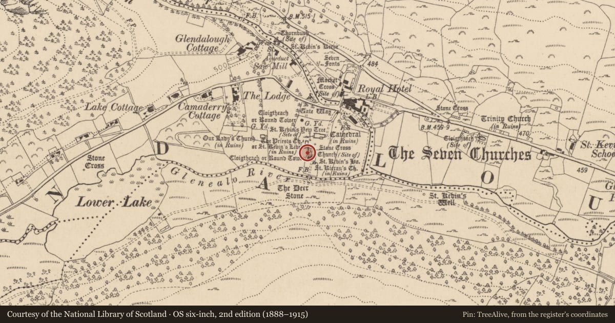Ordnance Survey six-inch map, 2nd edition (1888–1915) covering the location of Cross-slab, Sevenchurches Or Camaderry, County Wicklow, with a pin at the register's coordinates