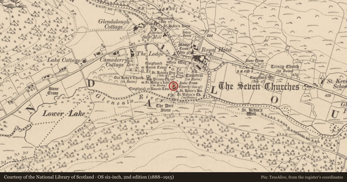 Ordnance Survey six-inch map, 2nd edition (1888–1915) covering the location of Cross-slab, Sevenchurches Or Camaderry, County Wicklow, with a pin at the register's coordinates