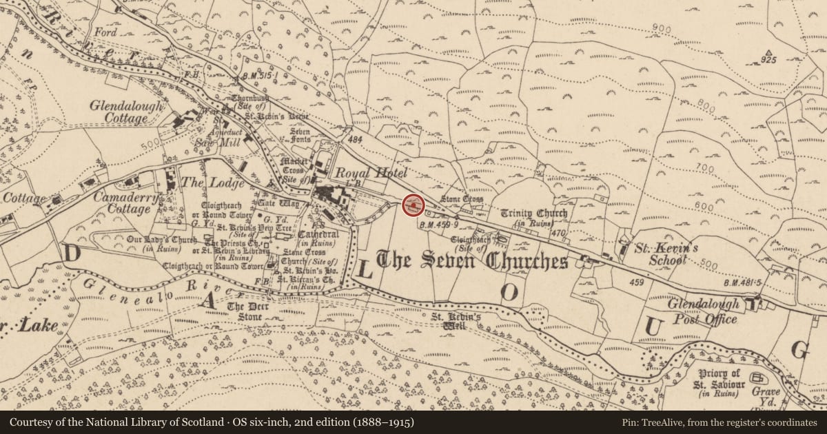 Ordnance Survey six-inch map, 2nd edition (1888–1915) covering the location of Metalworking site, Brockagh, County Wicklow, with a pin at the register's coordinates