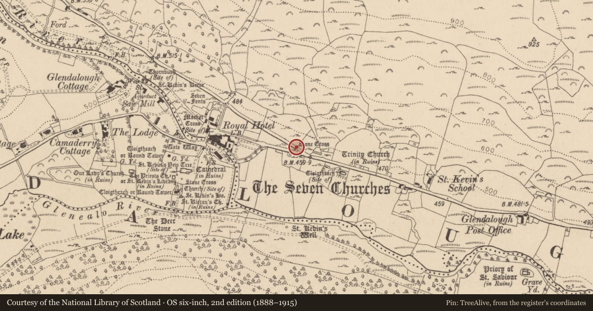 Ordnance Survey six-inch map, 2nd edition (1888–1915) covering the location of Cross - Wayside cross, Brockagh, County Wicklow, with a pin at the register's coordinates