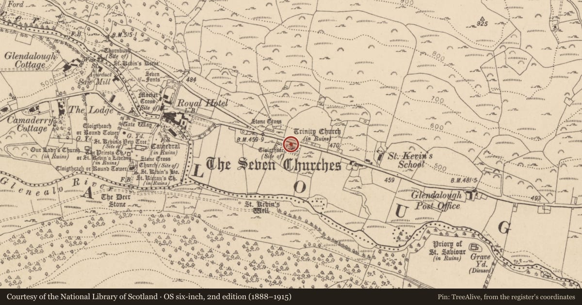Ordnance Survey six-inch map, 2nd edition (1888–1915) covering the location of Cross-slab, Brockagh, County Wicklow, with a pin at the register's coordinates