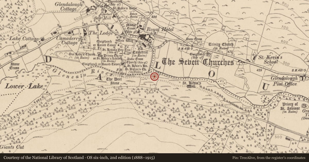 Ordnance Survey six-inch map, 2nd edition (1888–1915) covering the location of Road - road/trackway, Derrybawn, County Wicklow, with a pin at the register's coordinates
