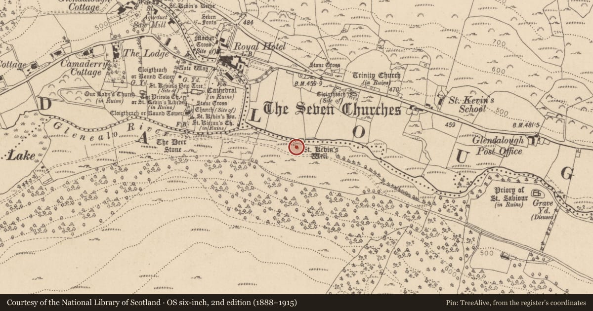 Ordnance Survey six-inch map, 2nd edition (1888–1915) covering the location of Ritual site - holy tree/bush, Derrybawn, County Wicklow, with a pin at the register's coordinates