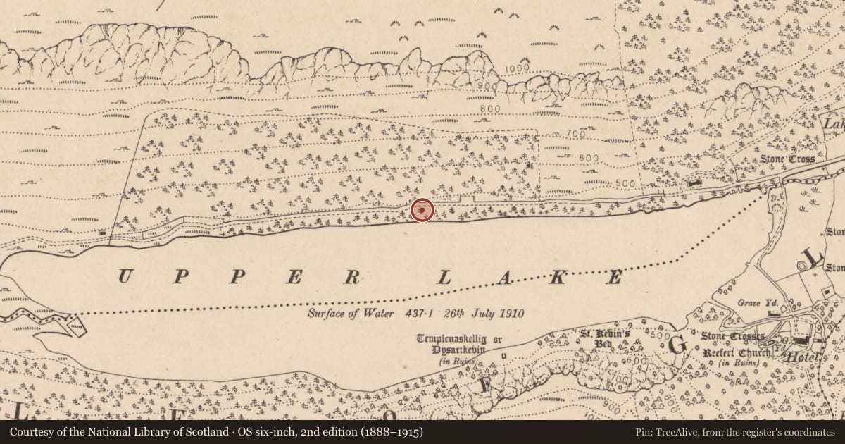 Ordnance Survey six-inch map, 2nd edition (1888–1915) covering the location of Charcoal-making site, Sevenchurches Or Camaderry, County Wicklow, with a pin at the register's coordinates