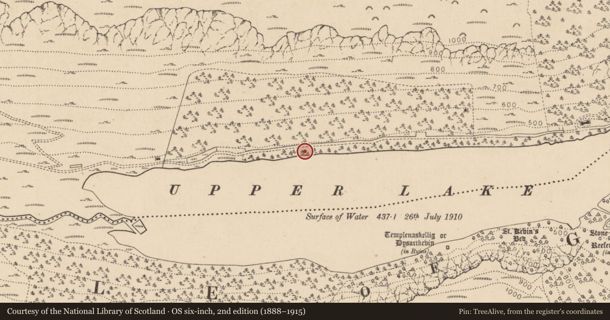 Ordnance Survey six-inch map, 2nd edition (1888–1915) covering the location of Charcoal-making site, Sevenchurches Or Camaderry, County Wicklow, with a pin at the register's coordinates