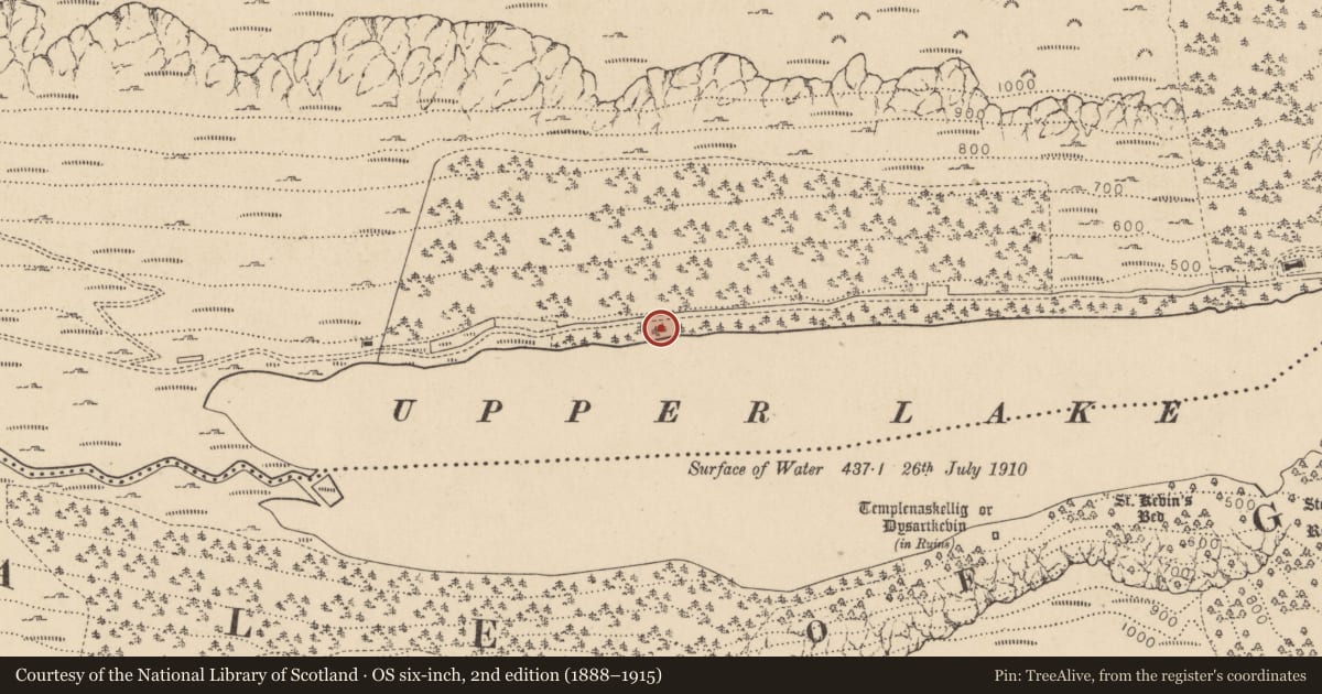 Ordnance Survey six-inch map, 2nd edition (1888–1915) covering the location of Charcoal-making site, Sevenchurches Or Camaderry, County Wicklow, with a pin at the register's coordinates
