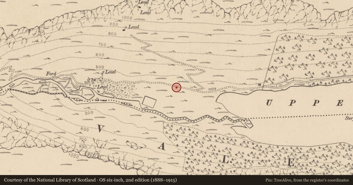 Ordnance Survey six-inch map, 2nd edition (1888–1915) covering the location of Charcoal-making site, Sevenchurches Or Camaderry, County Wicklow, with a pin at the register's coordinates