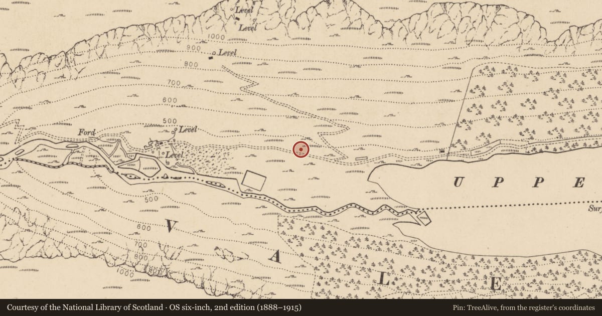 Ordnance Survey six-inch map, 2nd edition (1888–1915) covering the location of Charcoal-making site, Sevenchurches Or Camaderry, County Wicklow, with a pin at the register's coordinates