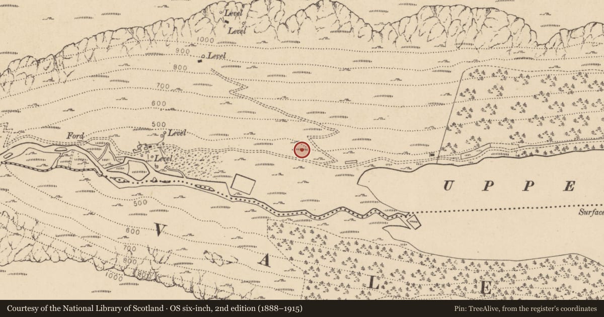 Ordnance Survey six-inch map, 2nd edition (1888–1915) covering the location of Charcoal-making site, Sevenchurches Or Camaderry, County Wicklow, with a pin at the register's coordinates