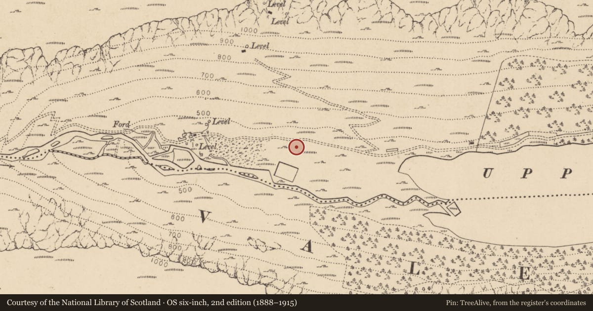 Ordnance Survey six-inch map, 2nd edition (1888–1915) covering the location of Charcoal-making site, Sevenchurches Or Camaderry, County Wicklow, with a pin at the register's coordinates