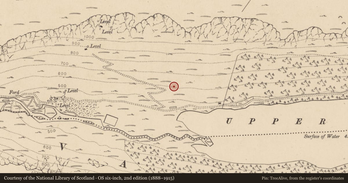 Ordnance Survey six-inch map, 2nd edition (1888–1915) covering the location of Charcoal-making site, Sevenchurches Or Camaderry, County Wicklow, with a pin at the register's coordinates